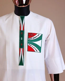 A white , PDP (People Democratic Party) pattern embroidery, 3/4 sleeve African senator kaftan native.
