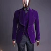 An Egg Plant Purple Velvet Shawl Lapel Tuxedo Suit