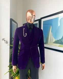 An Egg Plant Purple Velvet Shawl Lapel Tuxedo Suit