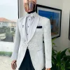 An Ivory white and silver “Napoleon” scattered pattern metallic jacquard Suit