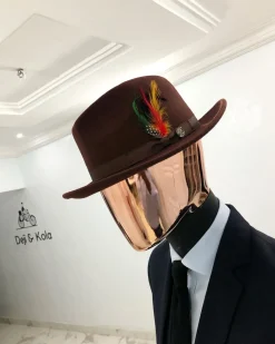 Dark brown Bowlers Hat with feathers detailings Design
